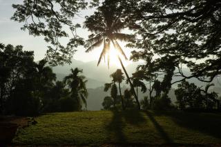 Clodagh Manor House by Seven Angels - Matale - 7