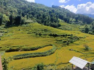 Homestay Núi Đá Tả Phìn - Sa Pa - 2