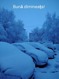 Pensiunea Izabel - 3