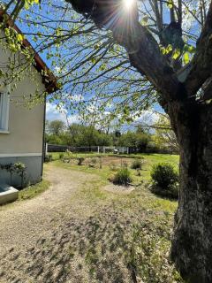 Theviennehouse - Cenon-sur-Vienne - 2
