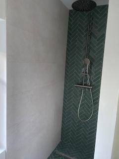 La Picane - Belle maison avec piscine et jardin - 4