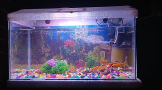 Anvi Holidayhome Alibag - Alibaug - 7