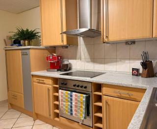 Voll ausgestattete, helle Ferienwohnung auf 80 qm - Wutöschingen - 1