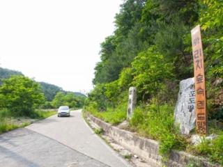 Wonju Sarichi Land in Forest Pension - Wonju - 5