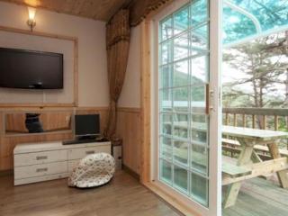 Wonju Sarichi Land in Forest Pension - Wonju - 1
