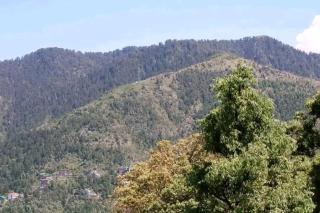 Ghai Niwas B&B - Dalhousie - 9