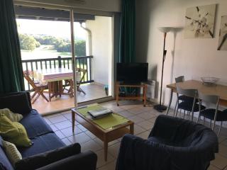 Appt vue golf dans résidence avec piscine - Bassussarry - 8