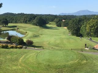 Appt vue golf dans résidence avec piscine - Bassussarry - 6
