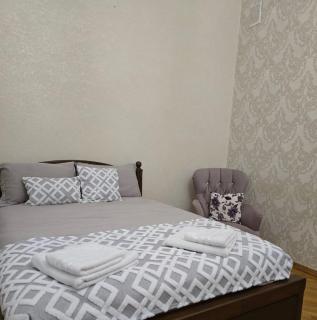 Cozy 2 Bedroom Apartment inCentral Baku Self Check-in 24 hours - Baku - 0
