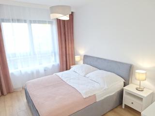 Classic Apartament - prywatny parking, blisko szpital Arkońska i Strzałowska - 8