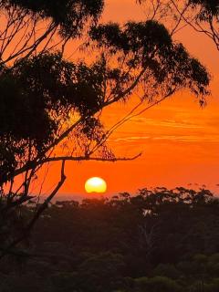 Bushys Hilltop (Kingfisher Bay, Kgari) - Fraser Island - 8