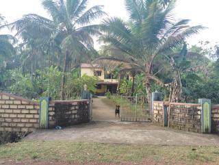 Kogre Homestay - Ankola - 1