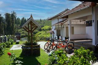 Green Leaves The Countryside Inn - 5