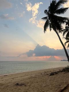 Beach Bungalows - Thong Sala - 0