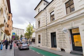 Charming Classic Apartment in City Center - Cluj-Napoca - 7