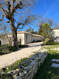 Domaine d Arcadie - Montaigu-de-Quercy - 4