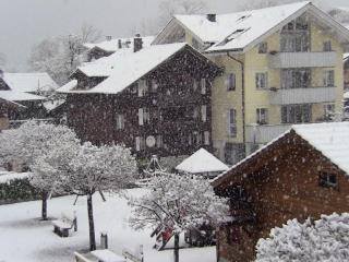 Switzerland Iseltwald Apartment - Iseltwald - 7