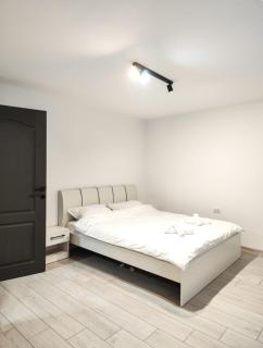 RIA Duplex Ariniș - Gura Humorului - 1
