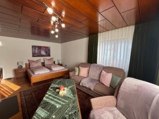 Traumhafte Wohnung im Herzen von Zwiesel mit Garten - Zwiesel - 8