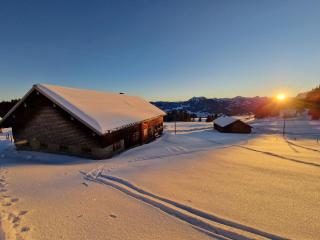 Haus Unterlose 392 direkt im Ski- und Wandergebiet Bödele - 9