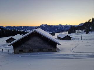 Haus Unterlose 392 direkt im Ski- und Wandergebiet Bödele - 3