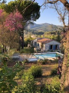 La Villa du Castel - Auriol - 7