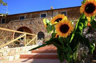 House in Tuscany near Baratti Beach - 3