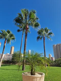 Appartement Benidorm Jardin - Benidorm - 7