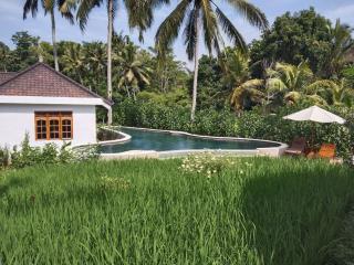 The Puriana Mantun Villa - Ubud - 7