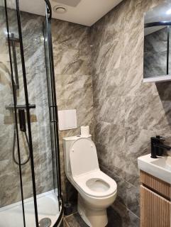 Ensuite Studio Flat Crawley-Gatwick - Ifield - 1