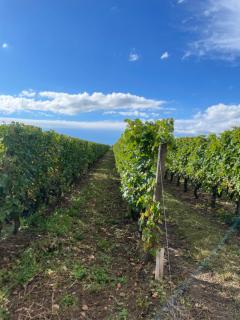La Cristalline - 2