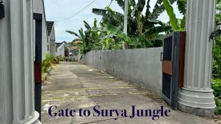 Bungalow Jungle Padonan - Dalung - 7