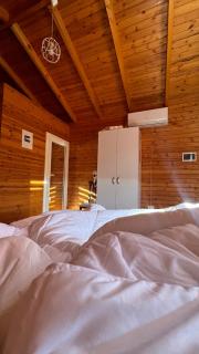 Jupis Chalet-City View Getaway - Durrës - 4