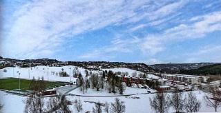 Romolslia - Leilighet nær SKI-VM 2025 - Trondheim - 5