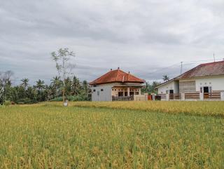 Maha House Mid of Ricefields - Tegalalang - 0