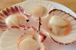 Alugo barco intermarine 440 - 8