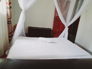 Lovely 3 BedRoom Furnished Apt In Rubaga - Kampala - 6