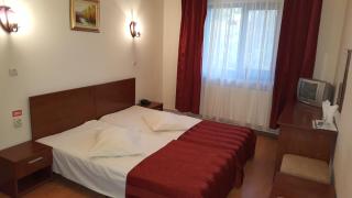 Pensiunea Valea Ursului - Bascov - 6