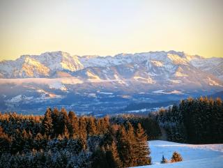 Hotel Bergstätter Hof - Immenstadt im Allgäu - 3