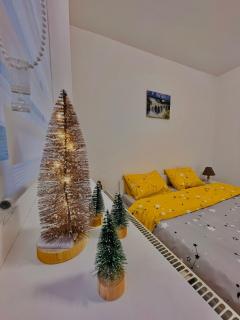 Pop’s Apartment - Lupeni - 3