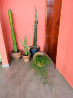 Casa da Juriti - Sapopema - 7