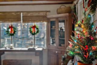 Cottage Inn The Woods -- Pond, Pet Friendly, Grill, Wifi, Fire Pit, Deck, Screen Porch, Fireplace, Private - 4