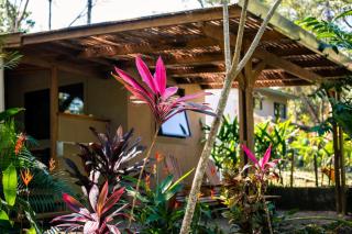 Feeling Trees Jungle Lodge - Cabuya - 4