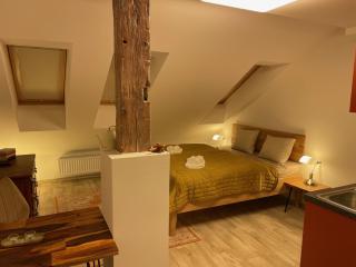 Comfy central city retreat - Brno - 2