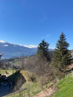 Magnifique appartement avec vue sur les sommets enneigés - Crans-Montana - 6