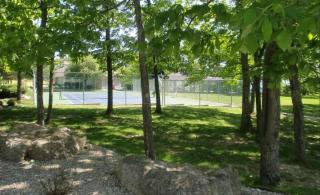 Spacious 3 BR Ozark Penthouse - Four Seasons - 8