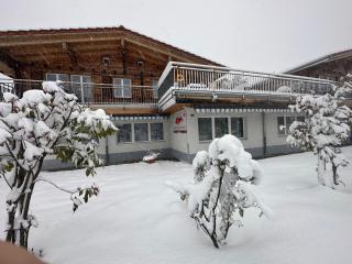 Swiss Chalet Holidays Ringgenberg - Ringgenberg - 9