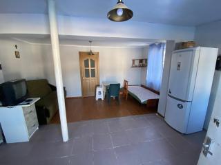 House in Bakuriani - Bakuriani - 3