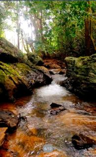 R-Heavens Homestay - Madikeri - 7