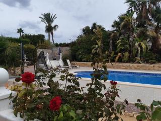Chalet Limonita - Mutxamel - 1